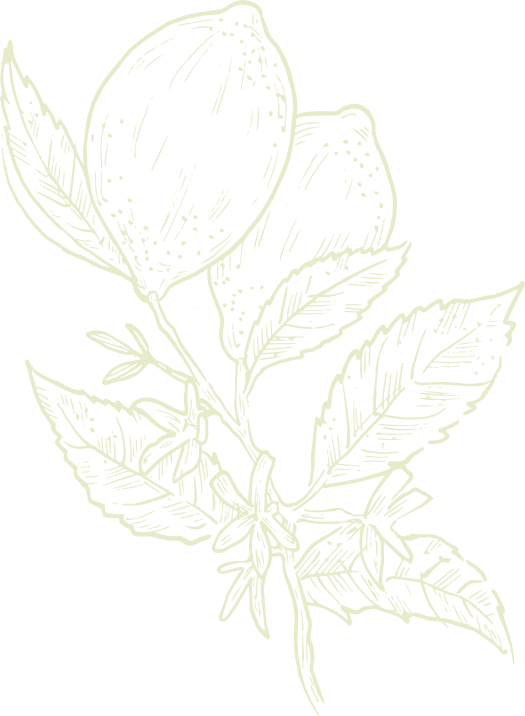 A pale yellowish-green background with faint white decorative swirls and a broken vertical line on the left side.